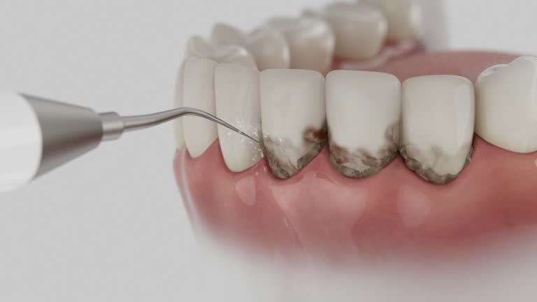 Reliable Dental contractor in McFarland, WI by Dentist Open Now